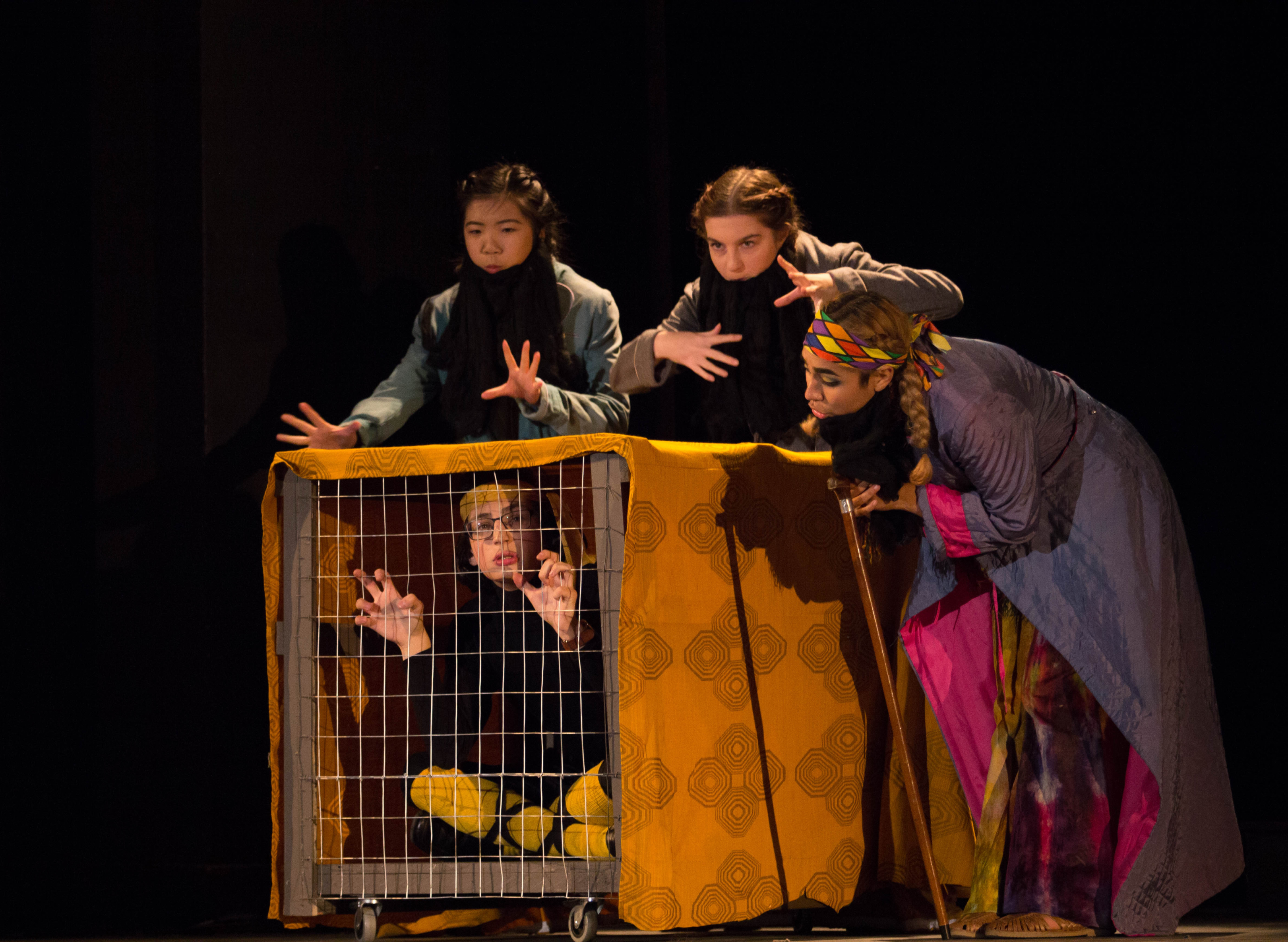 Twelfth Night - Malvolio in cage